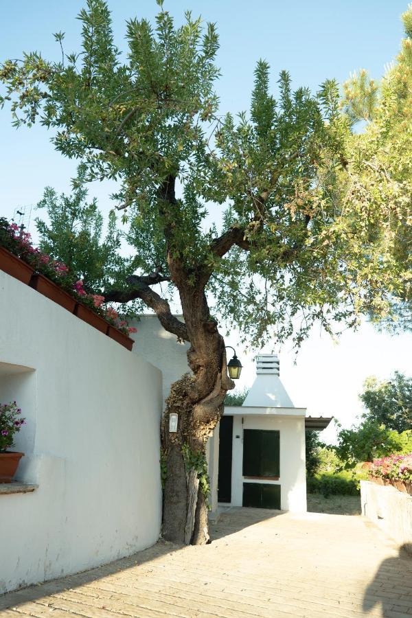 Trullo Bianco Holiday home