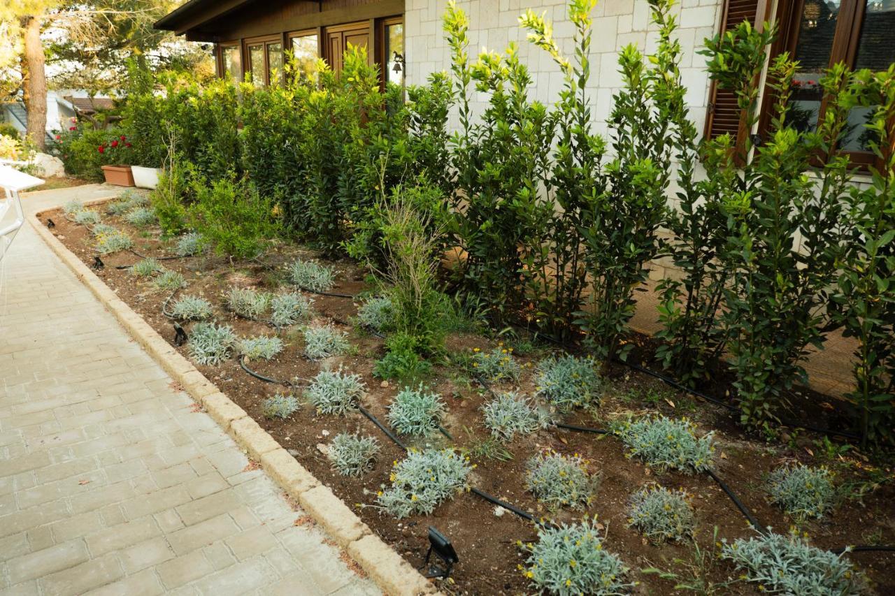 Trullo Bianco Ferienhaus